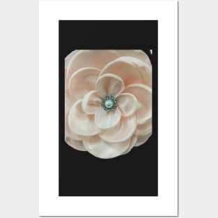 Elegant Blush Floral Posters and Art